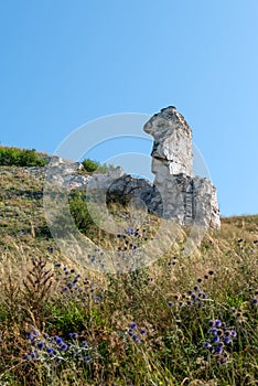 Cretaceous outcrops diva in Divnogorie photo