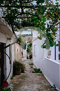 Cretan Alleys - Kritsa village 3