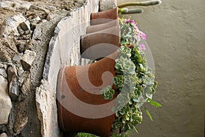 Crete / Flower pots on a wall