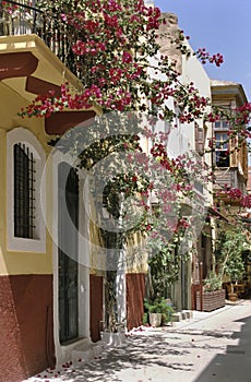 Crete flowered street