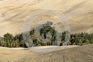 Crete Senesi