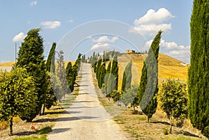 Crete senesi, characteristic landscape in Val d'Orcia