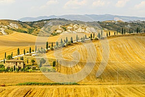 Crete senesi, characteristic landscape in Val d'Orcia