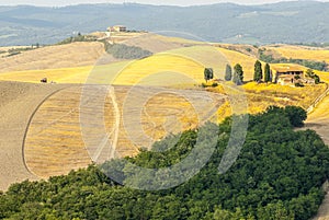 Crete senesi, characteristic landscape in Val d'Orcia