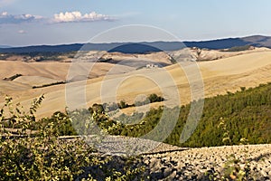 Crete Senesi Clay Hills photo