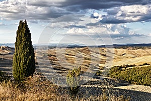 Crete Senesi Landscape