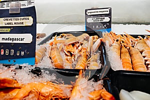 Crevettes ,langoustines fresh fish at supermarket counter photo