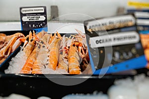 Crevettes and langoustines on supermarket stall photo