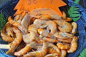 Crevettes at a market in germany photo