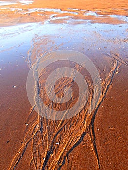 Crevices in the sand of a beach