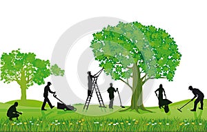 Crew of Landscapers Working Outdoors