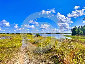 CREW wetlands flooding Bonita Springs Florida