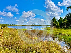 CREW wetlands flooding Bonita Springs Florida