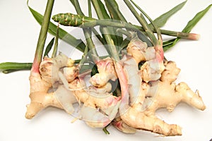 Ginger root Sao Paulo Brasil