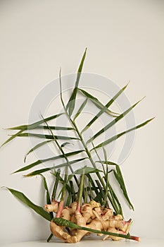 Ginger root Sao Paulo Brasil