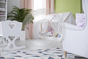 Crib and playhouse with canopy