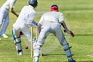 Cricket Action Bowler Batsman Wicket Keeper