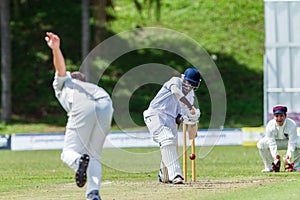 Cricket Action Sport