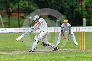 Cricket Action Sport