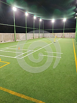 Cricket Arena with flood light and green grass