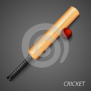 Cricket background with bat and ball template