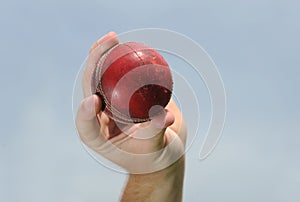 Cricket Ball