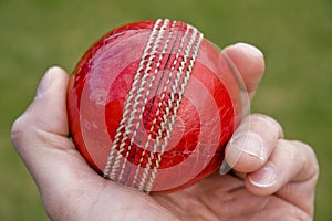 Cricket ball