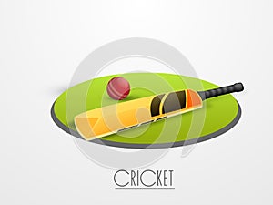 Cricket ball with bat and field stage.