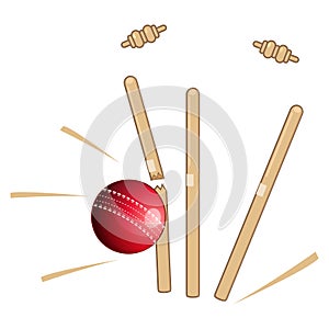 Cricket Ball - Bowled Action - Illustration