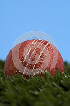 Cricket ball on grass with blue sky