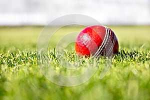 Cricket ball on green grass of cricket pitch background