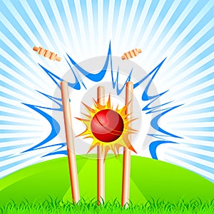 Cricket Ball hitting Stumps