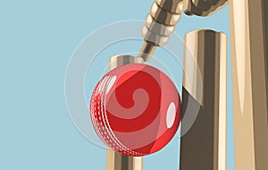 Cricket Ball Hitting Wickets