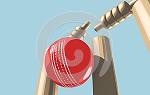 Cricket Ball Hitting Wickets