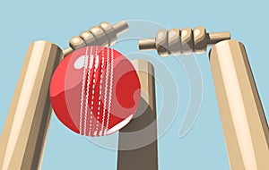 Cricket Ball Hitting Wickets