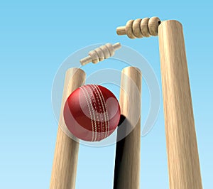 Cricket Ball Hitting Wickets