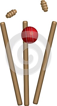 Cricket Ball Hitting Wickets