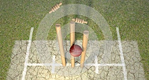 Cricket Ball Hitting Wickets