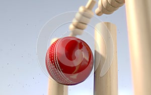 Cricket Ball Hitting Wickets