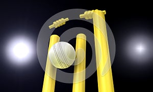 Cricket Ball Hitting Wickets At Night