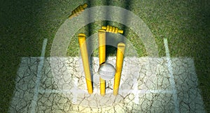 Cricket Ball Hitting Wickets