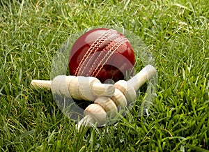 Cricket Ball