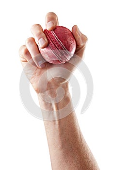 Cricket Ball Sports Hand