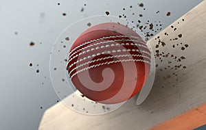 Cricket Ball Striking Bat In Slow Motion