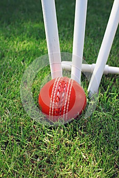 Cricket Ball and Stumps