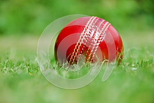 Cricket ball waits for summer