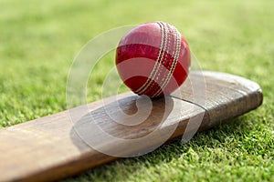 Cricket bat and ball on cricket pitch