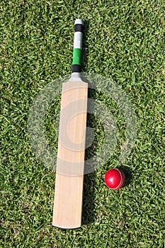 Cricket bat and ball on green grass