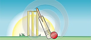 Cricket Bat, Ball & stumps