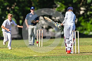 Cricket Bowler Batsman Action